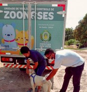 Ações da Campanha de Vacinação contra a Raiva se encerram neste sábado, 25