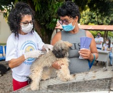 Vacinação antirrábica - Mais de 6 mil animais foram imunizados contra a raiva no último sábado