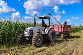 Com apoio da prefeitura, produtores rurais da região do Murupu investem na produção de silagem