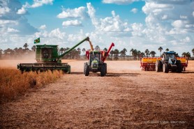 Bom Intento - Prefeitura inicia o atendimento a produtores com as novas máquinas no plantio de Sorgo