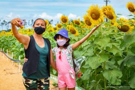 Campo Experimental 2021 - Plantio de cultivares recebeu mais de 700 pessoas durante os primeiros dias de visitação