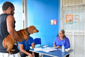 Campanha de vacinação antirrábica começa neste sábado, 4, em Boa Vista
