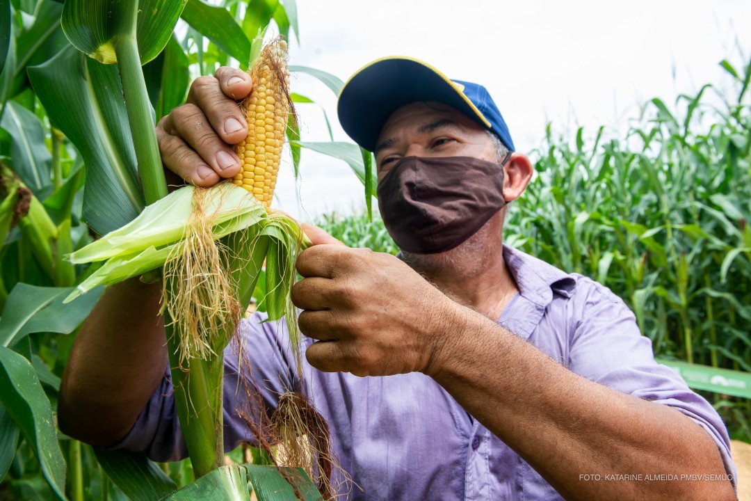 Campo Experimental 2021 - Experimentos garantem ao produtor rural mais confiança na escolha de sementes