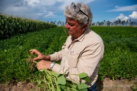 “CENTRO DE DIFUSÃO TECNOLÓGICA” - Em visita a Boa Vista, pesquisador se surpreende com estrutura e produtividade em campo experimental
