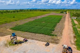 CONVITE - Campo Experimental 2021 será aberto a visitação pública neste sábado, 31