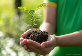 CONVITE: Prefeitura encerrará Semana do Meio Ambiente com a criação de um memorial em homenagem às vítimas da covid-19