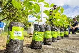 Meio Ambiente: Prefeitura homenageia vítimas da covid-19 em memorial no Bosque dos Papagaios