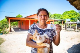ANTIRRÁBICA - Vacinação de cães e gatos continua neste sábado, 23, na área rural de Boa Vista