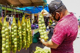 COMUNICADO - Feiras Livres voltam a funcionar normalmente a partir deste fim de semana