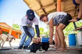 ANTIRRÁBICA - Prefeitura dá início à imunização de cães e gatos na zona rural de Boa Vista