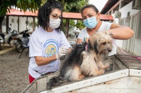 ANTIRRÁBICA - Prefeitura vai imunizar animais na zona rural de Boa Vista, a partir deste sábado, 16