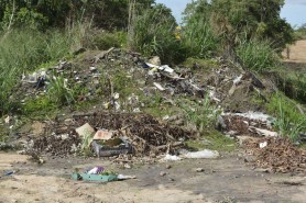 TERRENOS BALDIOS:Prefeitura intensificará fiscalização a partir desta segunda-feira, 17
