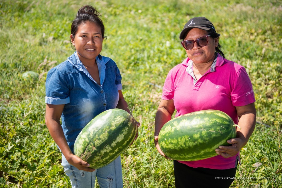 ESPECIAL SEMANA DA MULHER - O agro é delas: Mulheres mostram protagonismo no campo, com referência em polos de produção
