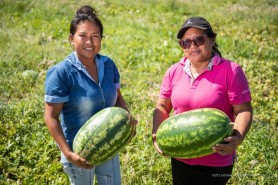 ESPECIAL SEMANA DA MULHER - O agro é delas: Mulheres mostram protagonismo no campo, com referência em polos de produção