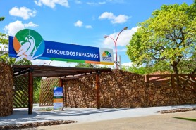 SEMANA DO MEIO AMBIENTE - Bosque dos Papagaios: da preservação à conscientização ambiental
