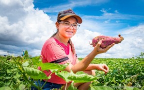 RECONHECIMENTO - Projeto Polo da Batata Doce leva Boa Vista a conquistar o Prêmio Prefeito Empreendedor