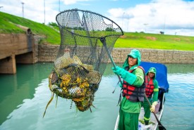 Parque do Rio Branco e bairro Operário recebem serviços de limpeza
