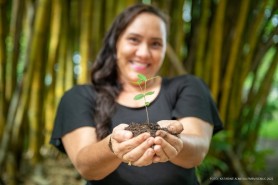 SEMANA DO MEIO AMBIENTE - Horto Municipal cultiva e doa mudas regionais há mais de 40 anos