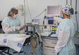 COPA DO MUNDO - Confira os serviços que funcionarão em Boa Vista durante os jogos da seleção brasileira