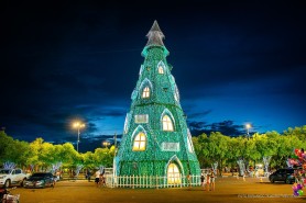 AGENDA CULTURAL - Acendimento das Árvores de Natal e espetáculos no teatro são os destaques deste fim de semana