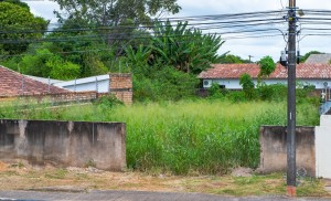 Lei que concede desconto de 50% em multa por falta de limpeza de terreno entra em vigor