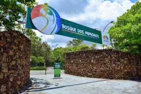 COMUNICADO - Bosque dos Papagaios passará por manutenção a partir desta sexta-feira, 1º