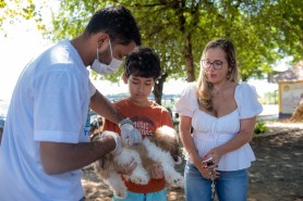 ANTIRRÁBICA  - Campanha de vacinação começa neste sábado, 5, com ação em diversos pontos da cidade