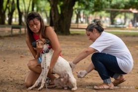 Último dia da Campanha de Vacinação Antirrábica nos bairros de Boa Vista será neste sábado, 26