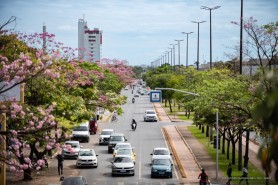 PLANO DIRETOR - Prefeitura busca soluções para o desenvolvimento urbano com a participação da população