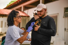 ANTIRRÁBICA - Mais de cinco mil cães e gatos são vacinados no primeiro dia de campanha em Boa Vista