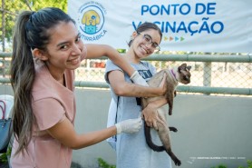 ANTIRRÁBICA - Mais de 22 mil cães e gatos foram vacinados durante campanha na área urbana de Boa Vista
