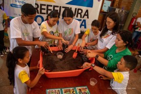 Jovens dos projetos Conviver e Dedo Verde plantam girassóis e cultivam conexões
