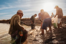 Comunidade Serra da Moça faz a primeira despesca de tambaquis com projeto-piloto da prefeitura