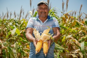 GESTÃO QUE TRANSFORMA “A prefeitura chegou com o asfalto e nossa vida melhorou 100%”, diz morador do PA Nova Amazônia