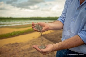 Com investimento tecnológico, empresários apostam na AgroBV 2023 para apresentar cultivares e fertilizantes
