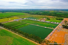 AGROBV 2023 - Prefeitura promoverá ações ambientais durante a Maior Feira da Agricultura de Roraima