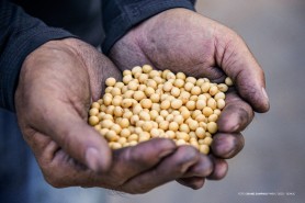 BOA VISTA 133 ANOS - Cidade do campo: investimentos no agro fortalecem as ações produtivas na capital