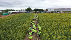 3ª AGROBVRUN - Corrida cheia de aventura será no sábado,29, com a participação de 600 pessoas