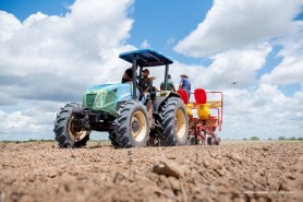 CULTURAS DE INVERNO - Com insumos e maquinários da Prefeitura, comunidades indígenas de Boa Vista fazem plantio de 50 hectares de milho