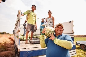 IRRIGAÇÃO FOTOVOLTAICA - Com apoio da prefeitura, produtores indígenas do Truaru colhem cerca de duas toneladas e meia de melancia