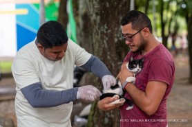 VACINAÇÃO ANTIRRÁBICA - Prefeitura imuniza cerca de 3 mil animais durante campanha na Zona Rural de Boa Vista