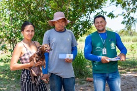 ANTIRRÁBICA - Prefeitura avança na vacinação de cães e gatos na zona rural de Boa Vista
