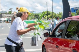 “BOA VISTA VERDE” -  Prefeitura promove uma Eco Blitz nesta terça, 21, com entrega de 300 mudas de plantas em alusão ao Dia Mundial da Floresta