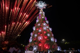 ÁRVORES DE NATAL - Acendimento dos maiores símbolos natalinos de Boa Vista será neste sábado, 2