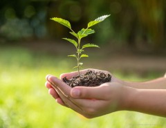 Estão abertas as inscrições para a 3ª Conferência Municipal do Meio Ambiente