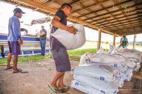 AGRICULTURA FAMILIAR - Para potencializar produção em comunidades indígenas, prefeitura inicia entrega de 42 toneladas de fertilizantes