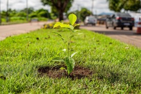 Inscrições para 3ª Conferência Municipal do Meio Ambiente seguem até dia 19