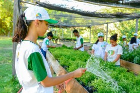 Em Boa Vista, “Educação e Sustentabilidade na Amazônia” é tema do 3° Encontro Regional do ICLEI na Amazônia