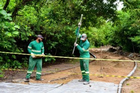 Bosque dos Papagaios passa por obras de revitalização até julho