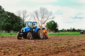 Prefeitura de Boa Vista atinge marca de 1.205 hectares de grão plantados no primeiro semestre do ano